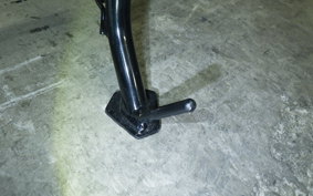 HARLEY X500 2024