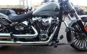 HARLEY FXBR 2025 YEZ