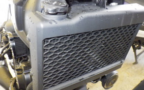 HONDA REBEL 250 A MC49