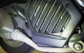 HONDA TACT Basket AF79