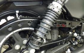 HARLEY XL883N 2018