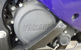 YAMAHA YZF-R15