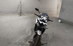 TRIUMPH TRIUMPH STREET TRIPLE R HDA604