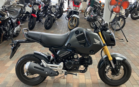 HONDA GROM JC92