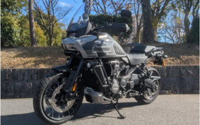 HARLEY PAN AMERICA 1250 SPECIAL 1994 ZES