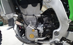 KAWASAKI KX250X KX252D