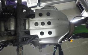KAWASAKI SUPER SHERPA KL250G