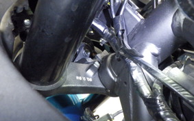 YAMAHA YZF-R25 A 2024 RG43J