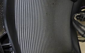 DUCATI DIAVEL X S 2016