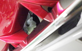 SUZUKI HAYABUSA Gen.3 2023 EJ11A