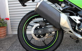 KAWASAKI NINJA 250 KRT ED EX250P