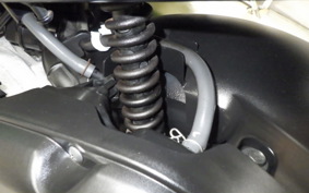 HONDA ZOOMER 2008 AF58