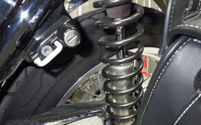 KAWASAKI W800 2023 EJ800E
