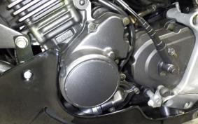 HONDA HORNET 250 2020 MC31