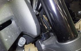 KAWASAKI Z900RS 2022 ZR900C