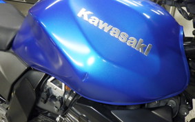 KAWASAKI Z1000 Gen.2 2007