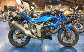 KAWASAKI Z250 SL BR250E