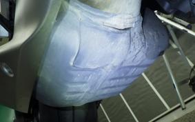 HONDA CB650R 2021 RH03