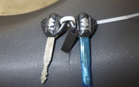 SUZUKI GSX-R1000R A 2019 DM11G