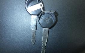 HONDA ﾀﾞﾝｸ 2022 AF78