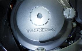 HONDA CRF250 GEN 2 RALLY 2024 MD47