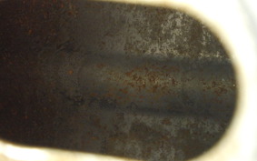 KAWASAKI Z250 2014 ER250C