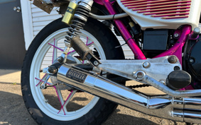 SUZUKI GSX250 GJ51B