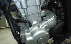 YAMAHA WR250X 2018 DG15J