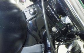 HARLEY FXBB1750 2020