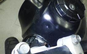 YAMAHA TW200 Gen.2 DG07J