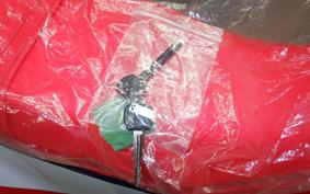 HONDA CRF250L 2024 MD47