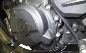 KAWASAKI NINJA 250 EX250P