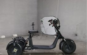 OTHER DENDOU TRIKE  ..