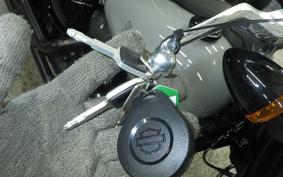 HARLEY FXLRS1920 2025