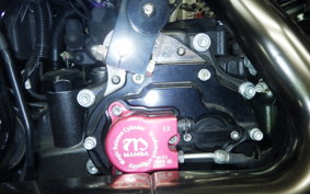 HARLEY FLTRXSE1920CVO 2020