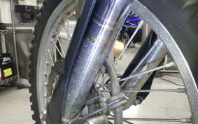 KAWASAKI KLX250 Gen.2 2025 LX250S