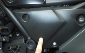 YAMAHA TENERE 700 2024 DM13J