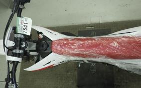 YAMAHA YZ125 2015 CE36C