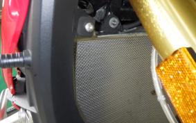 BMW S1000XR 2020