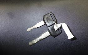 HONDA VTR 250 2024 MC33