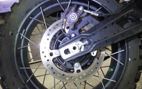 TRIUMPH TIGER 900 RALLY PRO 2022