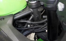 KAWASAKI ZX-4RR 2023 ZX400P