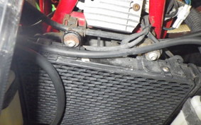 OTHER +ﾒｶﾞﾘ250R 2023