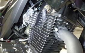 SUZUKI GIXXER 150 2019 NG4BG