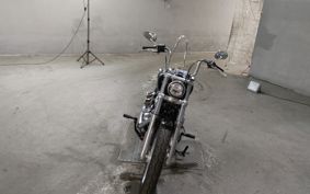 HARLEY FXST1750 2020 BVJ