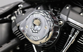 HARLEY FXBB 2018 YJJ