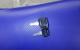 HONDA XR250 BAJA 2024 MD30