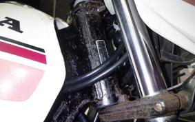 HONDA MBX50 AC03