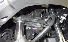 YAMAHA X-MAX 250 SG70J