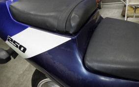 KAWASAKI ZXR250 2006 ZX250A